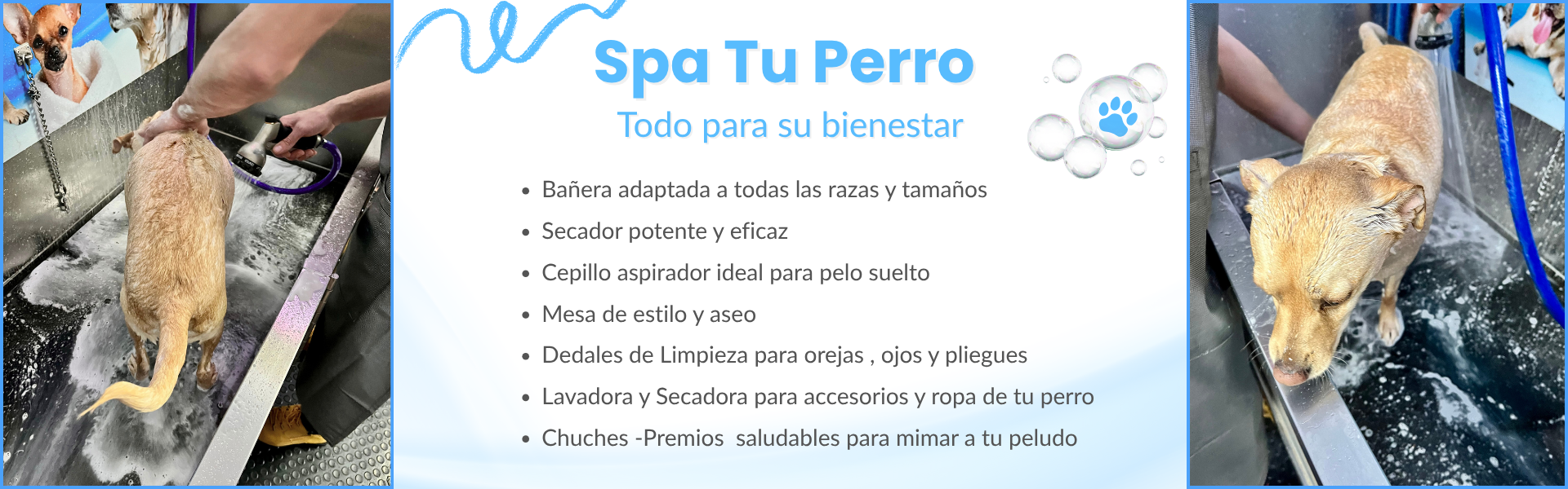 Servicios Spa tu perro autolavado de perros en Montserrat